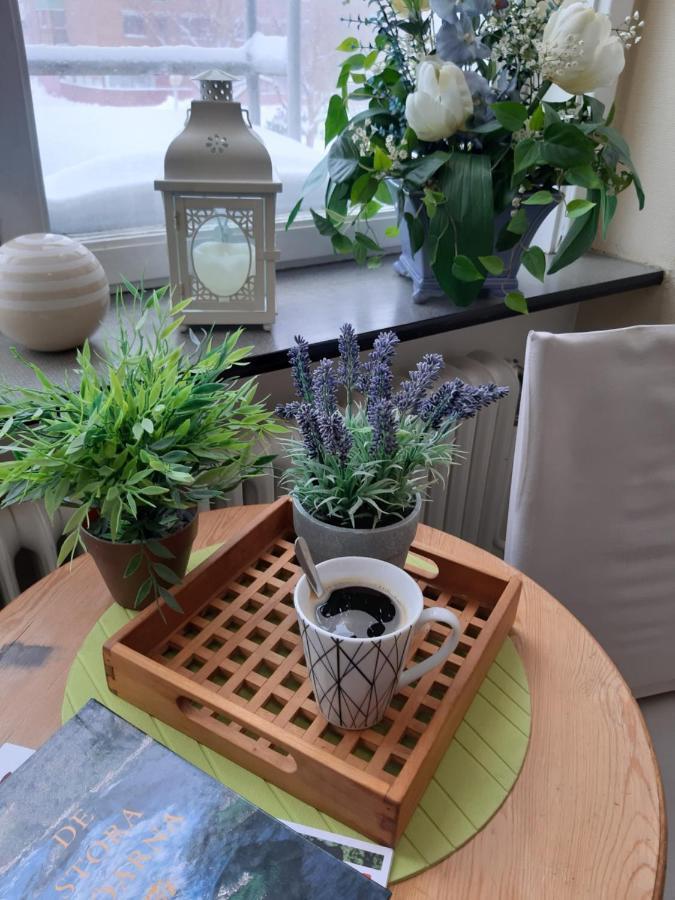 Pitea Vandrarhem Экстерьер фото